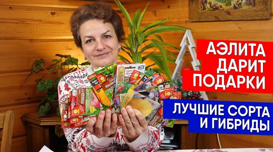 Что подарить Аэлите?